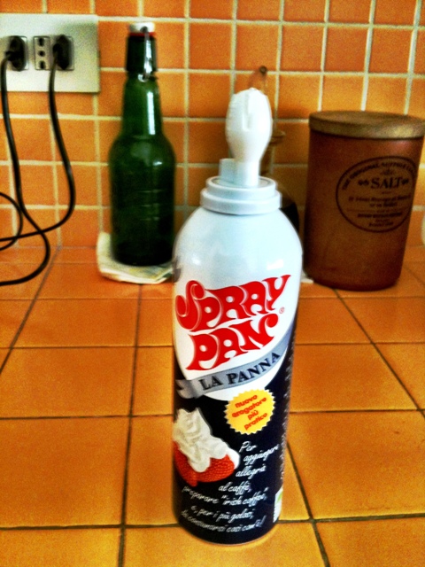 Istruzioni per l'uso della panna spray – D.O.